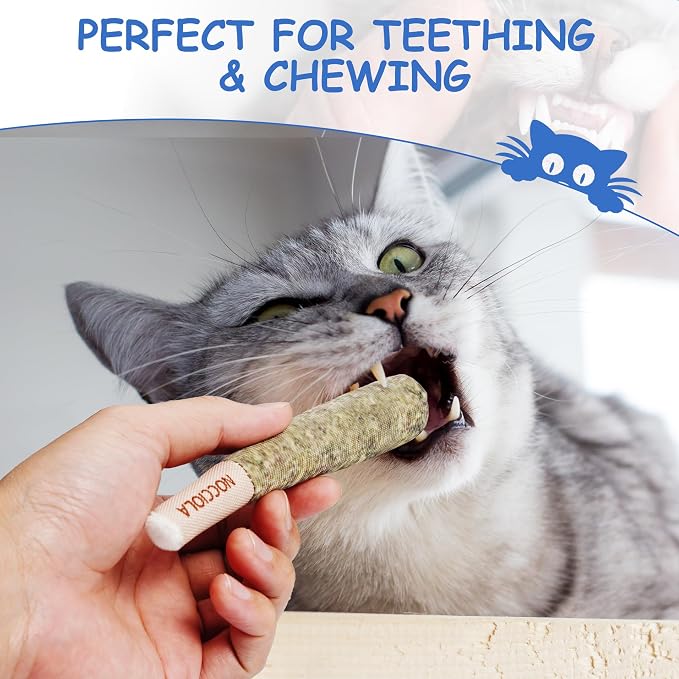 Nocciola 3 Pack Catnip Toys for Cats, Funny Cat Toys Filled with 100% Pure Organic Catnip, Safe Kitten Teething Chew and Kicker Toys, Stress Relieving Fun for Indoor Cats, Blue - Image 4