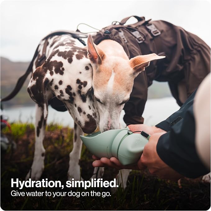SÄKER Portable Dog Water Bottle, Collapsible Water Bottle for Dogs Perfect for Walking, Hiking and Outdoors | Works as a Portable Water Bowl | Designed in Montreal - 550ml - Image 2