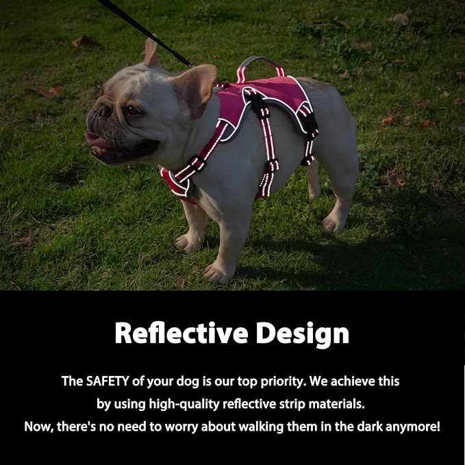Escape Proof Dog Harness, Dachshund Harness, Reflective Dog Harness with Handle, Durable,Adjustable Vest for Small Medium Large Dogs Walking, Training, and Running Gear (Rose red,M) - Image 3