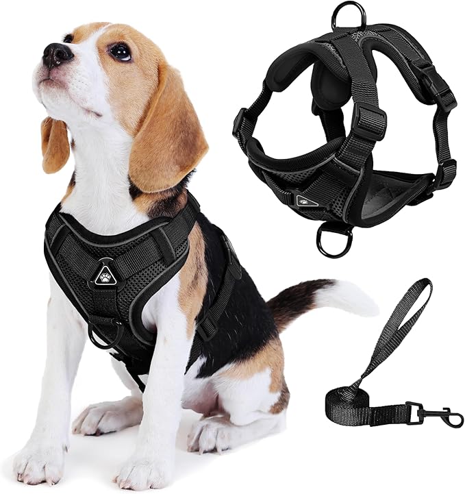 Dog Harness Medium Sized Dog Pet Vest with Leash Set Black L | Adjustable Puppy Vest Harness, No Choke No Pull, Soft Padded, Step-in Dog Vest, Reflective Cat Harness, Breathable Air Mesh by Unknown