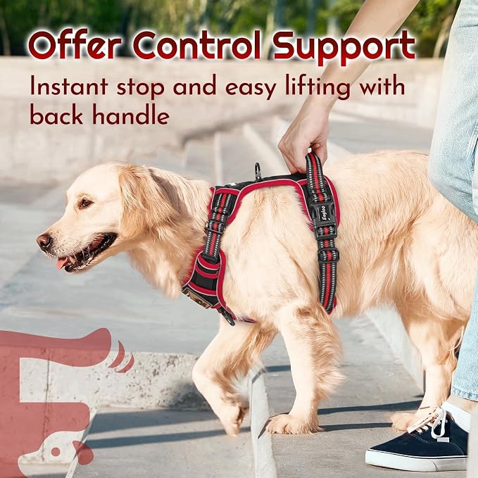 Eagloo Dog Harness No Pull for Small Dogs, Easy On & Off with 3 Buckles | No Choke with Front Clip, Adjustable Fit, MOLLE System, Reflective Vest, Easy Control for Walking, Black & Red, Small - Image 5