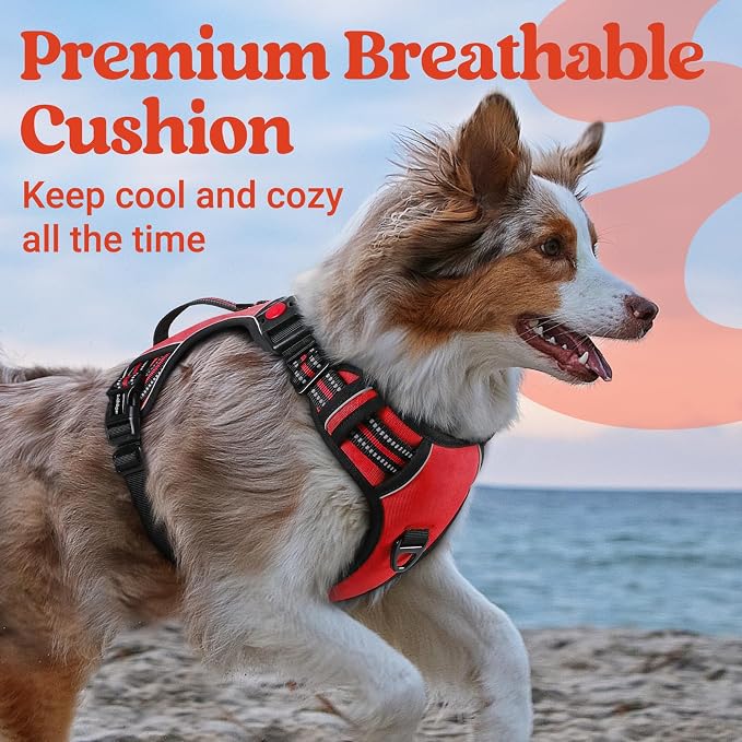 rabbitgoo Large Dog Harness, Easy Wear with 3 Buckles and Lift Handle | No Pull with Front Clip for Walking, Adjustable Soft Padded, Reflective, Easy Control, Red, Medium - Image 7