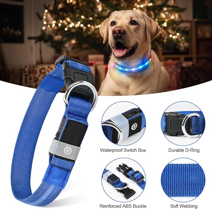 LED Dog Collar, RGB Light Up Dog Collar USB Rechargeable 6 Modes | Waterproof Light Up Dog Collar with Soft Nylon Comfort, Adjustable Fit for Small Medium Large Dogs Royal Blue M - Image 4