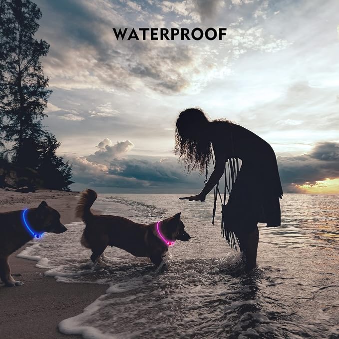 LED Dog Collar, Cut-to-Fit Light Up Dog Collar for Night Walking, IP67 Waterproof USB Rechargeable Glowing Pet Collar, High Visibility Super Bright Safety Lights for S/M/L Dogs(Green) - Image 4
