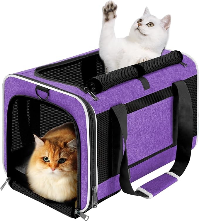 GAPZER Large Cat Carrier Soft, Collapsible Travel Pet Carry Bag, Small Dogs | Large Cats up to 20 lbs+ Maine Coon, Top Load Transport Small Puppy Dog Crate, Chihuahua Mini Dog 10lbs, Sturdy Fabric Pueple by GAPZER