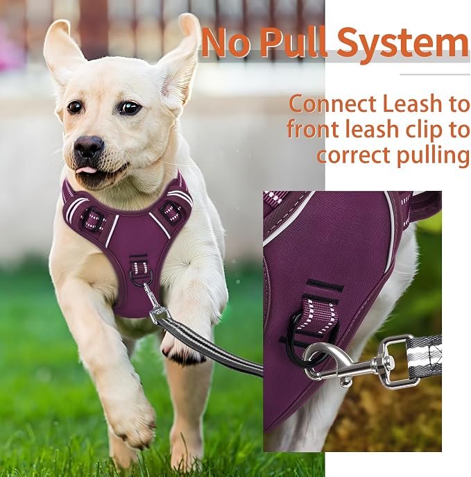 HEELE Dog Harness for Medium Dogs No Pull Dog Vest Harness with Soft Padded Handle Reflective for Outdoor Training, Purple(Matching Trim), M | Soft Breathable Padded for Medium Harness, No Pull No Choke, Adjustable 2 Metal Rings for Outdoor Walking Tra... - Image 4