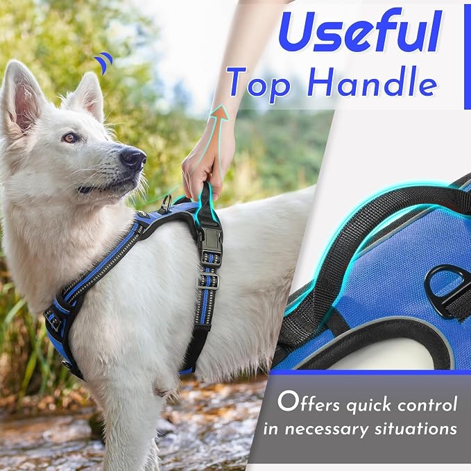 Eagloo Dog Harness for Small Dogs, No Pull Pet Vest with 2 Leash Clips | No Choke with Handle, Adjustable Comfort Fit, Reflective Strips, Easy Walking Control, Blue, Small - Image 5
