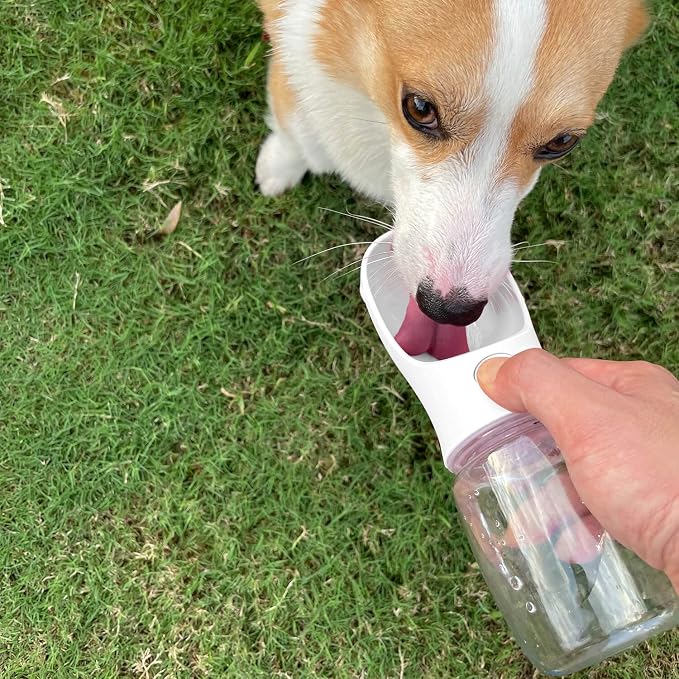 WePet Portable Dog Water Bottle, 12 OZ, Leak Proof Puppy Water Dispenser with Drinking Feeder for Pets Outdoor Walking, Hiking, Travel, Food Grade Plastic - Image 2