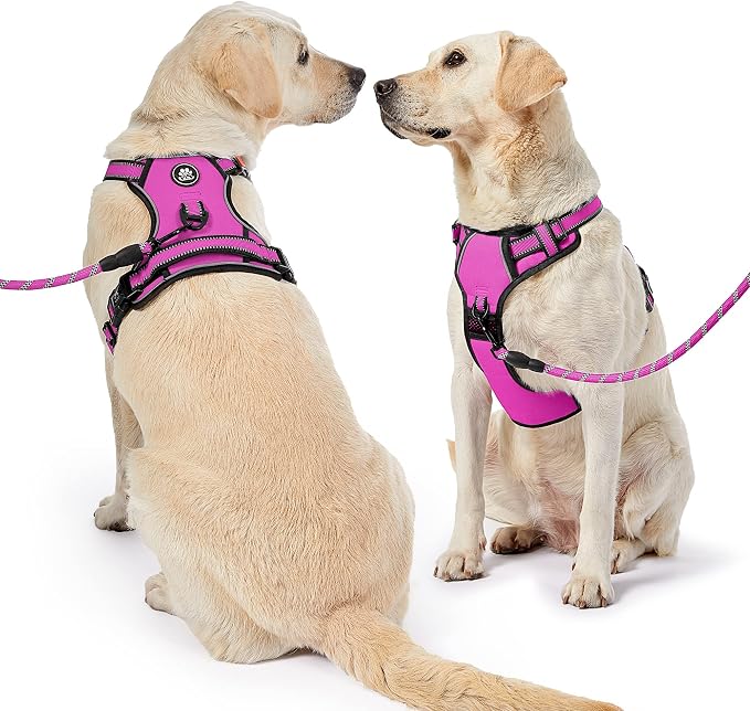 NESTROAD No Pull Dog Harness,Adjustable Oxford Dog Vest Harness with Leash,Reflective No-Choke Pet Harness with Easy Control Soft Handle for Large Dogs(X-Large,Fuchsia Pink) - Image 7