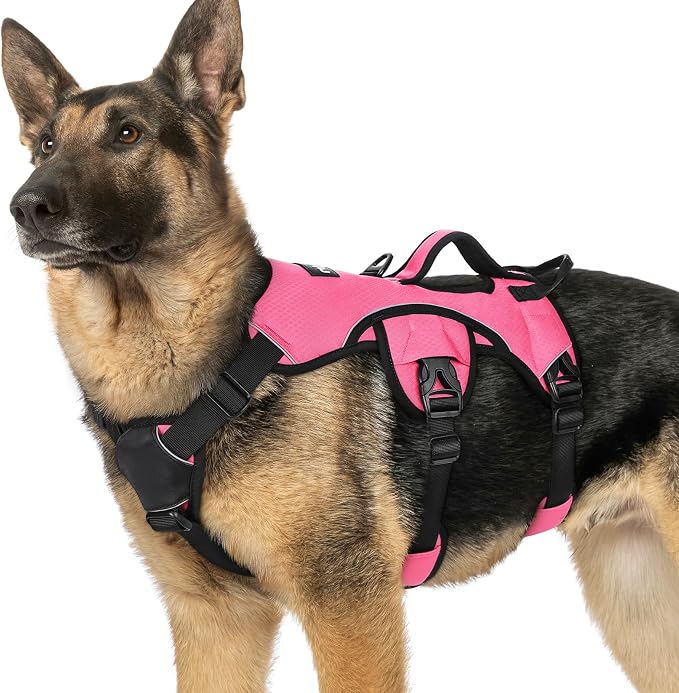 rabbitgoo Escape Proof Dog Harness for X-Large, No Pull with Lift Handle | No Escape, Full Soft Padded, Reflective Adjustable Vest, Leash Clip for Walking Hiking Training, Peach Pink, X-Large by rabbitgoo
