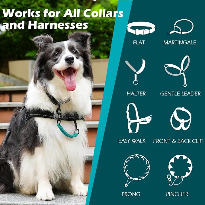 PetBonus Dog Collar Safety Clip, Handmade Prong Collar to Harness Connector | Dog Leash Backup Safety Strap, Escape Proof, Double Ended Clasp, Lead Connector for Pinch Collar, Harness (Turquoise) - Image 3