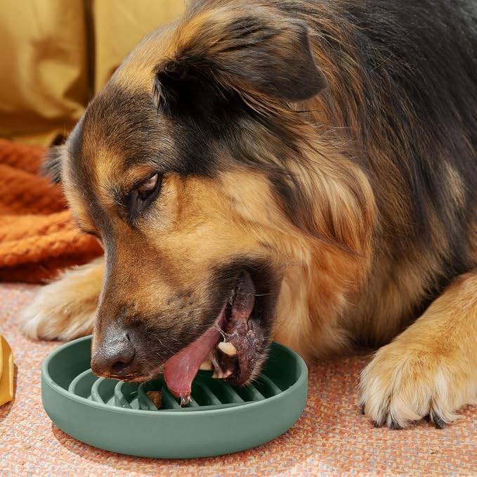 Should We Go? Slow Feeder Dog Bowls - Medium Size Silicone Slow Eating Dog Bowl for Puppies & Dogs with Suction Cup -Dishwasher-Safe, Lick Mat Design, Reduces Gulping,for All Breeds,7.5”x1.5”- Spruce - Image 4