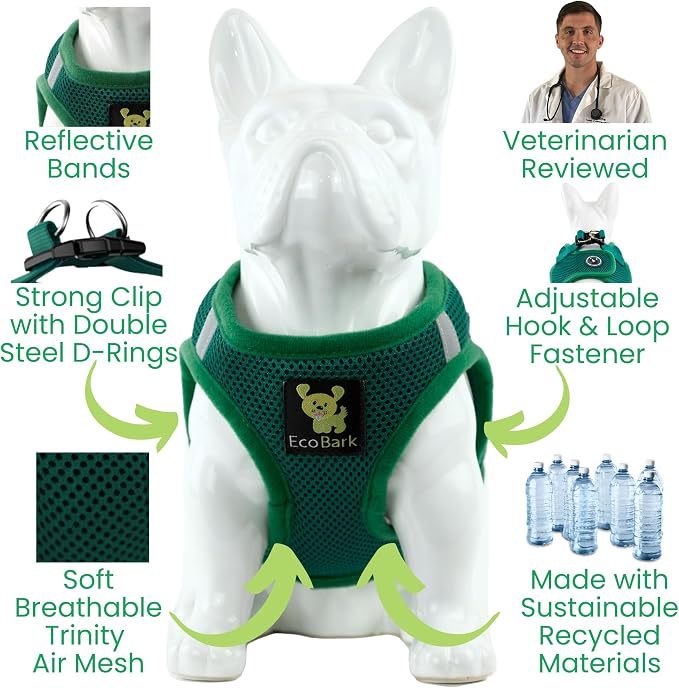 EcoBark Teacup Dog Harness, No Choke Mesh Vest, XXXS, Forest Green | Toy Breed Dog Harnesses for Tiny Dogs, Luxury Soft Step In Mini Body Halter, Puppy Harness Dog Vest Under 5 Pounds Lbs - Image 5