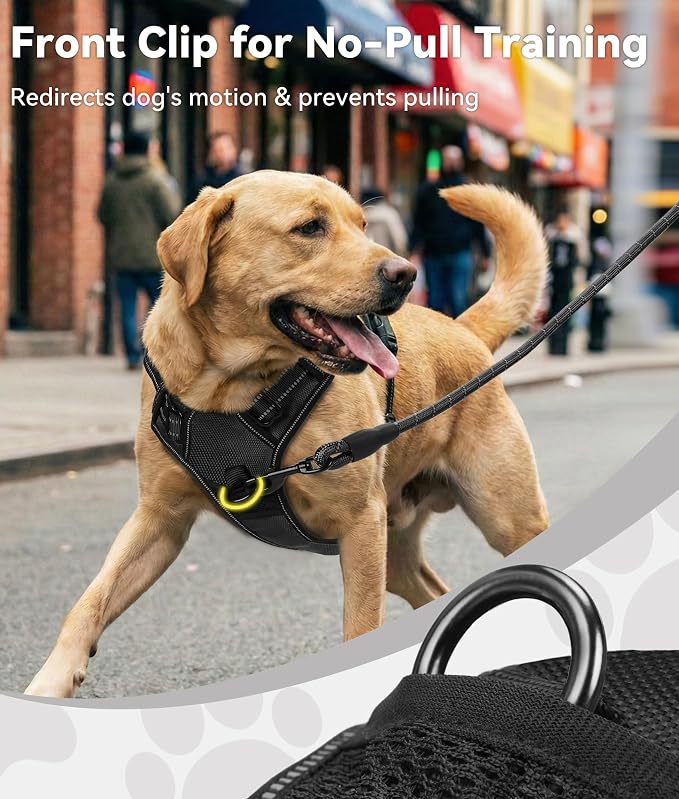 Joytale No Pull Dog Harness Medium Sized Dog, Front Clip, Black | Grab Handle for Instant Control, Padded & Adjustable Vest, Sturdy Metal D-Rings, for Safe Training & Daily Walking - Image 2