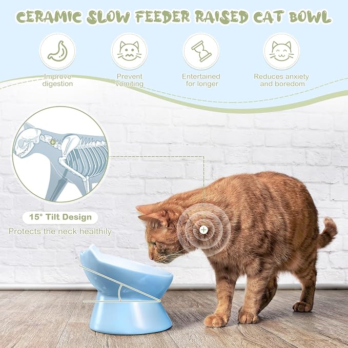 Funnymoom 2 Pcs Ceramic Raised Slow Feeder Cat Bowl, 5.91inch Elevated Cat Slow Feeder Bowl Tilted Anti Vomiting for Dry Wet Food and Water Easy to Clean High Edge(Green, Blue) - Image 4