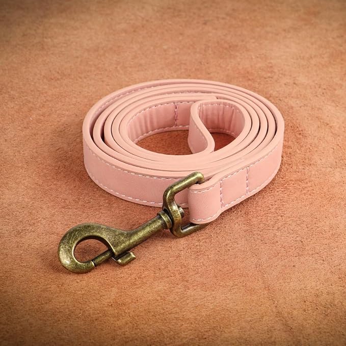 Didog PU Leather Dog Leash for Small Dogs, 5/8in x 4ft, Pink | Soft Grip Full Control, Easy Clean, Metal D-ring for Poop Bag Holder, Tangle-Free 360° Swivel Clasp, for Walking & Training - Image 8