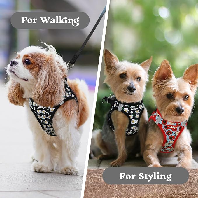 rabbitgoo Step-in Small Dog Harness, Puppy Vest for Small Sized Pet | Easy Put on and off, Lightweight, Soft, Breathable Quick-Dry Air Mesh for Comfortable Secure Walking, Midnight Daisy XXS - Image 9