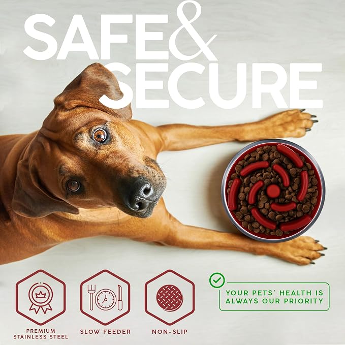 FAHRMOSIS 32 Oz Dog Bowl with Slow Feeder Insert Stainless Steel Pet Water Bowl for Medium & Large Breed Non Slip Rubber Base & Plastic Puzzle Feeder - Red - Image 4
