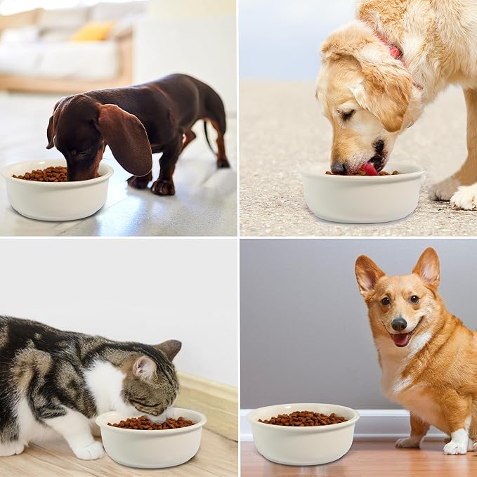 Ceramic Replacement Dog Bowls for Wordcam SS01 Model, 6.9"X2.6", Beige | Food and Water Bowl Set, for Small Medium Cats, Pet Feeding Dishes for Dogs 20-35lbs, Thicker Ceramic, Anti-Skid, 28Oz/800ML - Image 7