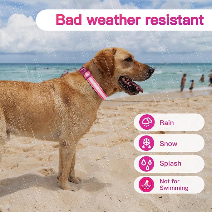 LED Light Up Dog Collar for Night Safety Walks, Pink, M | USB rechargeable, waterproof & pet-safe, 3 lighting modes, long-lasting glow, adjustable S/M/L, soft comfy daily walk fit - Image 6
