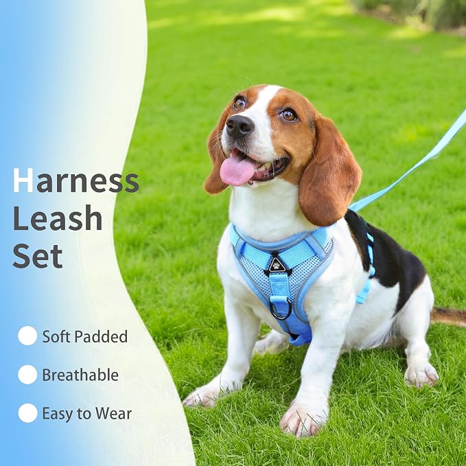 Dog Harness Small Sized Dog Pet Vest with Leash Set Blue S | Adjustable Puppy Vest Harness, No Choke No Pull, Soft Padded, Step-in Dog Vest, Reflective Cat Harness, Breathable Air Mesh - Image 2