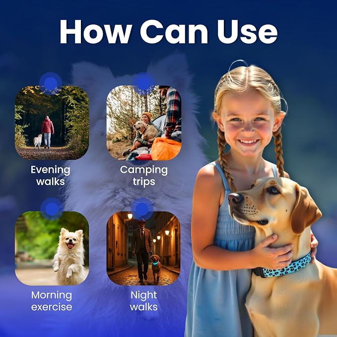 Leopard Dog Collar - Glow in the Dark USB Collar with Rechargeable Battery + Waterproof Design - Light Up Dog Collar - Blue (Medium Size) - Image 6