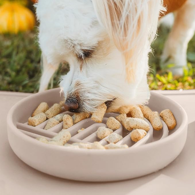 Should We Go? Slow Feeder Dog Bowls - Small Size Silicone Slow Eating Dog Bowl for Puppies & Dogs with Suction Cup -Dishwasher-Safe, Lick Mat Design, Reduces Gulping, for All Breeds, 6”x1.25”- Tan - Image 5
