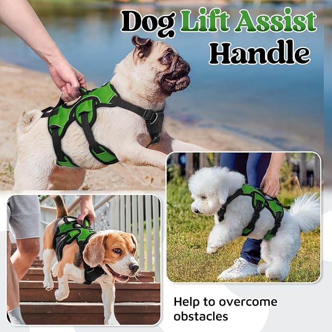 rabbitgoo Escape Proof Dog Harness for Small, No Pull with Lift Handle | No Escape, Full Soft Padded, Reflective Adjustable Vest, Leash Clip for Walking Hiking Training, Green, Small - Image 3
