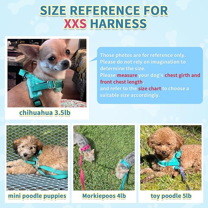 SlowTon No Pull Small Dog Harness and Leash Set with Front Clip | Soft Padded, Neck & Chest Adjustable, Lightweight, Anti-Twist, Puppy Vest Harness Pet Lead Combo for Small Medium Dog, TL XXS - Image 6