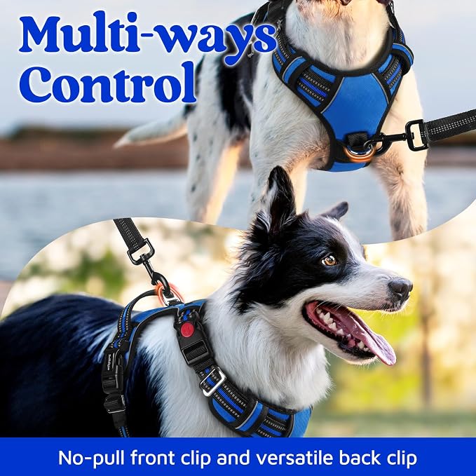 rabbitgoo Dog Harness Medium Sized, No Pull 3 Buckles Easy On & Off | Soft Padded, Walking with Control Handle, Adjustable and Reflective, Royal Blue, Medium - Image 3