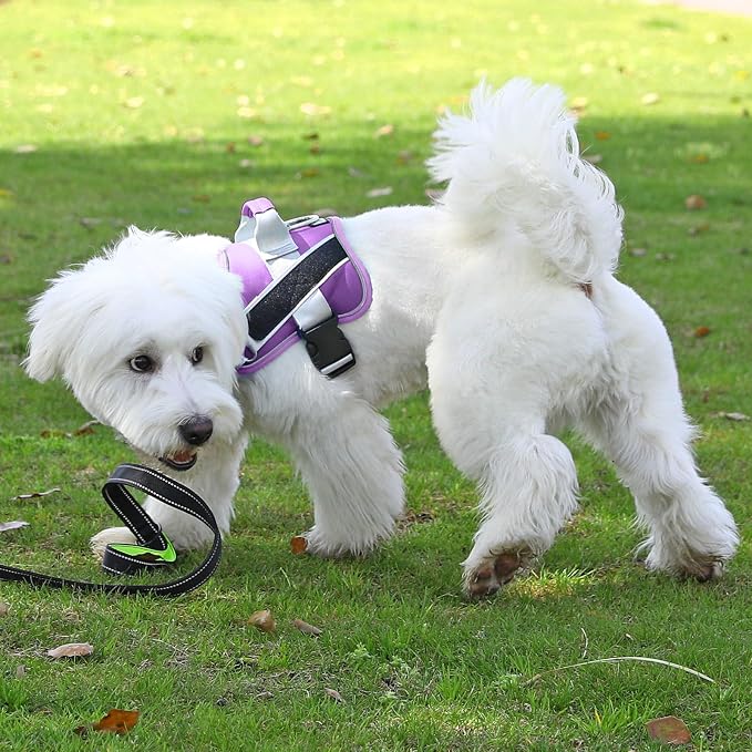 Dog Harness, No-Pull Reflective Dog Vest, Breathable Adjustable Pet Harness with Handle for Outdoor Walking - No More Pulling, Tugging or Choking (Lavender, X-Small (Pack of 1)) - Image 6
