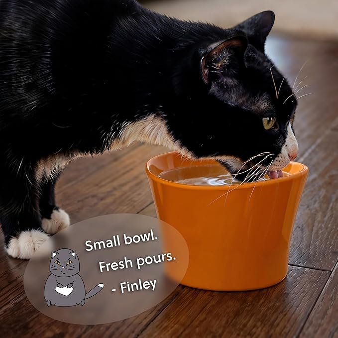 Elevated Cat Bowls for Water – Whisker & Neck Fatigue Shallow Cat Dishes – Raised Bowl for Indoor Cats – Vet-Recommended Height, Food-Grade Melamine – Non-Slip & Dishwasher-Safe – 8 oz White - Image 6