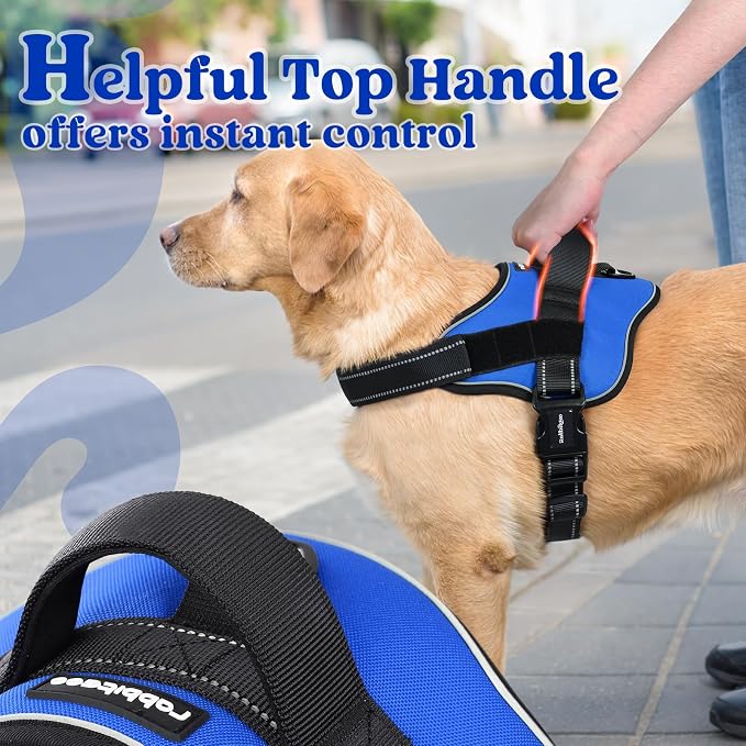 rabbitgoo No Pull No Choke Pet Vest, Adjustable Pet Harness with Molle | Large Sized Dog Harness, Reflective, Easy Wearing with One Buckle for Walking, Training, Blue, L - Image 7