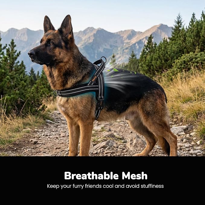 No Pull Dog Harness for Large Dogs, Breathable Mesh Padded, Black, L | Quick Fit, Easy On and Off, Lightweight, Reflective Vest Harness for Night Safty, Easy for Walking and Training, Chest 26-32" - Image 2
