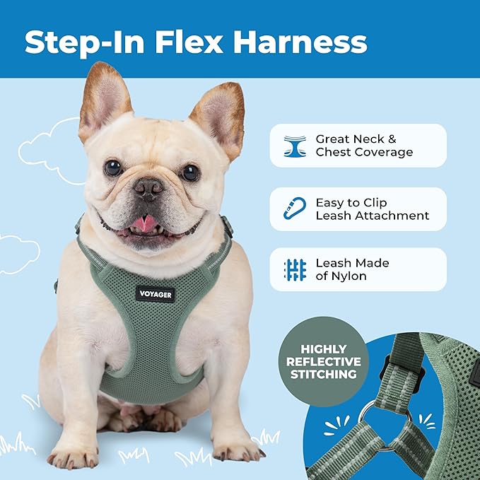 Voyager Step-in Flex Adjustable Dog Harness - Moss Green, X-Large | 23 - 28" in Chest, Fully Adjustable, Reflective Bands, All Weather Breathable Air Mesh, Lightweight, Fast Drying - Image 6