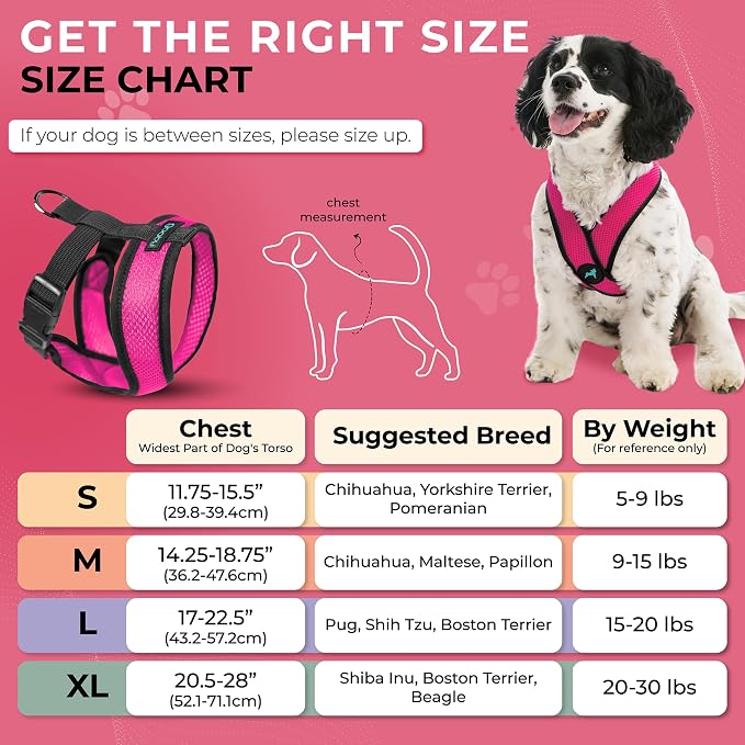 Gooby Comfort X Head-in Dog Harness, Choke-Free, Flamingo Pink, Large | Patented choke-free X-frame; Secure head-in fit; Lightweight breathable mesh; Back metal D-ring; Machine washable - Image 3