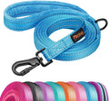 Didog 6FT Reflective Dog Leash for Medium Large Dogs, Slim 3/4" Width, Blue | Soft Padded Handle, Plush Comfort Grip, Tangle-Free, 360°Heavy-Duty Strengthened Clasp for Daily Walks/Training, Night Safety by Didog