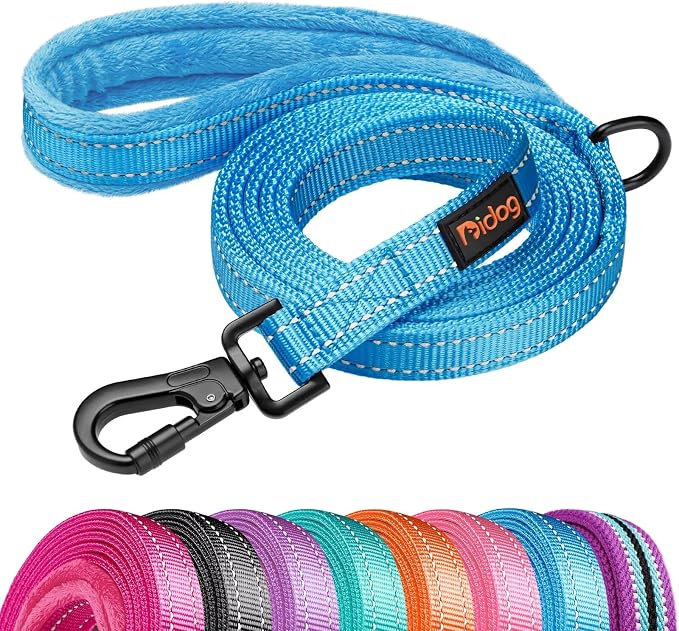 Didog 6FT Reflective Dog Leash for Medium Large Dogs, Slim 3/4" Width, Blue | Soft Padded Handle, Plush Comfort Grip, Tangle-Free, 360°Heavy-Duty Strengthened Clasp for Daily Walks/Training, Night Safety by Didog
