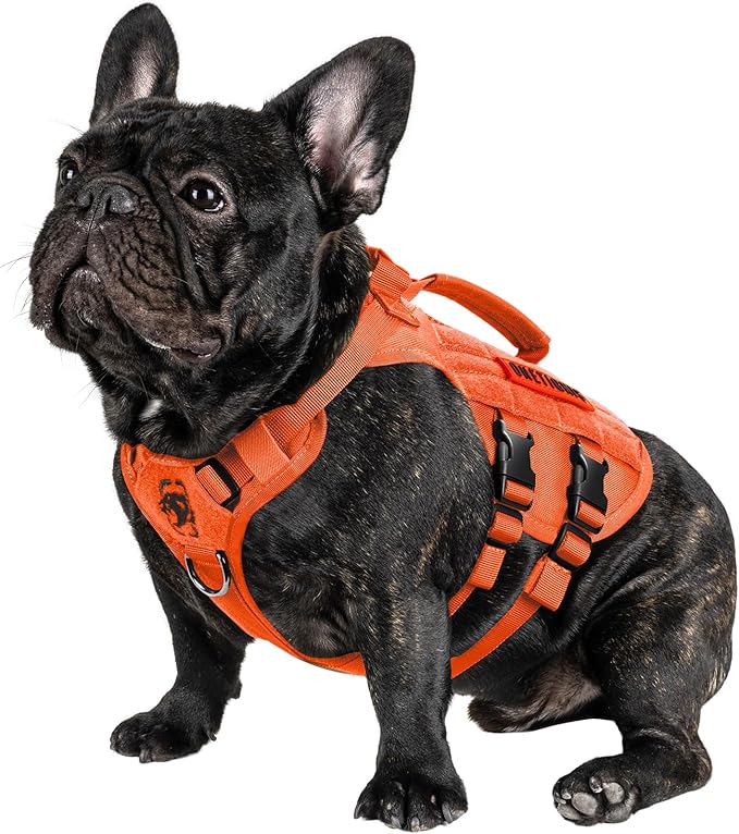 OneTigris Tactical Dog Harness for Small Dogs, No Pull Small Dog Vest Harness Breathable Military Dogs Molle Vests with Handles, Harness for Walking Hiking Training (Orange, XS) by OneTigris