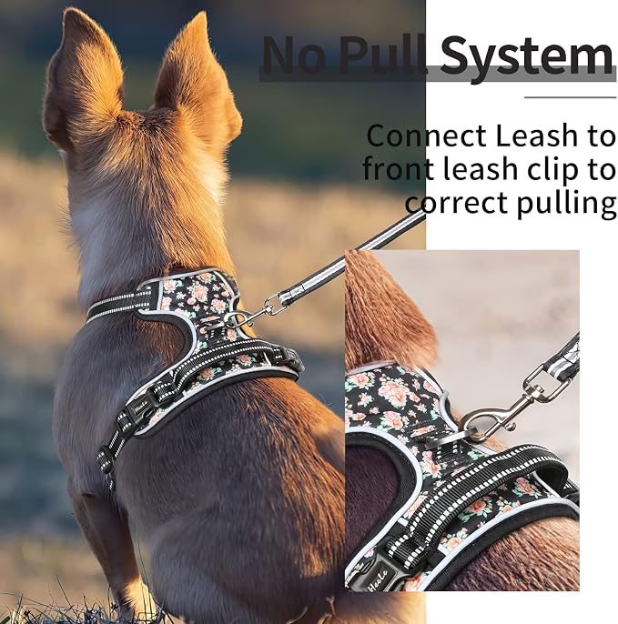 HEELE Dog Harness Harness for Small Dogs No Pull Dog Vest Harness for Small Dog with Soft Padded Handle Reflective for Outdoor Training, Flower-Black, S | No Choke with Control Handle, Soft Breathable Padded Pet Vest, Adjustable, Reflective Front Clip ... - Image 2