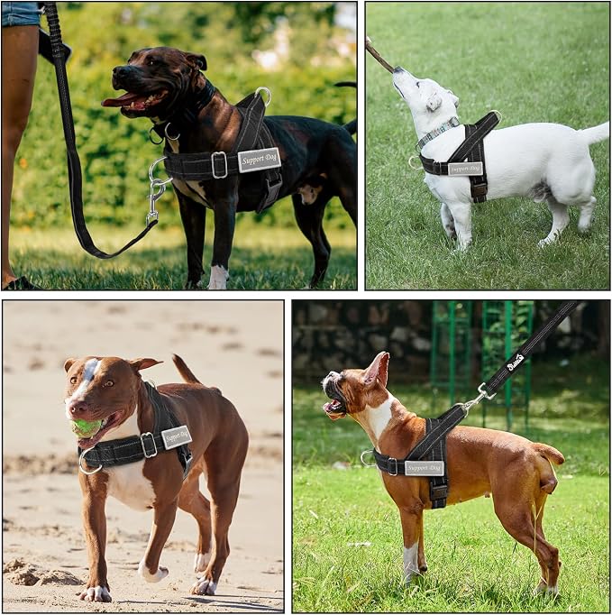 Lukovee No Pull Dog Harness and Leash Set, Soft Padded Vest with Front Clip | Adjustable, No Choke, Reflective,Durable Easy Control Pet Vest Harness for Safe Walking for Medium Large Dogs (Black, L) - Image 7