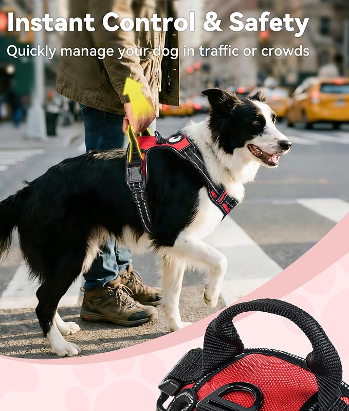Joytale No Pull Dog Harness for Small Dogs, Front Clip, Red | Grab Handle for Instant Control, Padded & Adjustable Vest, Sturdy Metal D-Rings, for Safe Training & Daily Walking - Image 3
