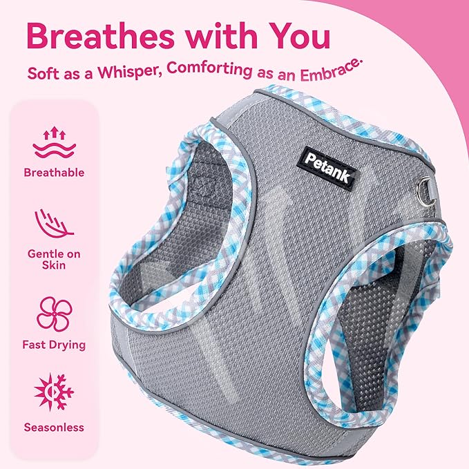 Petank Dog Harness for Small Medium Dogs No Pull, Puppy Harness and Leash Set for Walking, Running, Training, Small Dog Harness, Medium Dog Harness (Grey, S) - Image 3