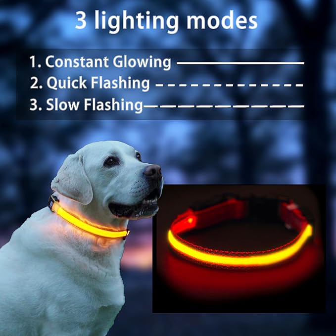 USB Rechargeable LED Dog Collar, Waterproof, Adjustable, Glowing, for Medium Dogs, Night Walking, Camping, Jogging, Yellow, M (Neck 15-24", Width 1") - Image 2