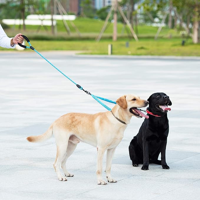 Double Dog Leash, 360° Swivel, No Tangle, Large, 25-150 lbs, Blue | Dual Leash for Two Dogs, Split Leash, Shock-Absorbing Bungee, Padded Handle, Heavy-Duty Rope - Image 6