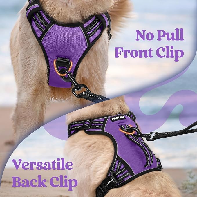 rabbitgoo Large Dog Harness, Easy Wear with 3 Buckles and Lift Handle | No Pull with Front Clip for Walking, Adjustable Soft Padded, Reflective, Easy Control, Purple, Small - Image 6