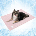 PetAmi Premium Cooling Dog Blanket | Lightweight Fluffy Pet Throw Blanket Bed Cover for Dogs, Cat, Puppies | Pet Blanket Furniture Protector Couch Sofa | Reversible Fuzzy Cozy | 24x32, Pink by PetAmi