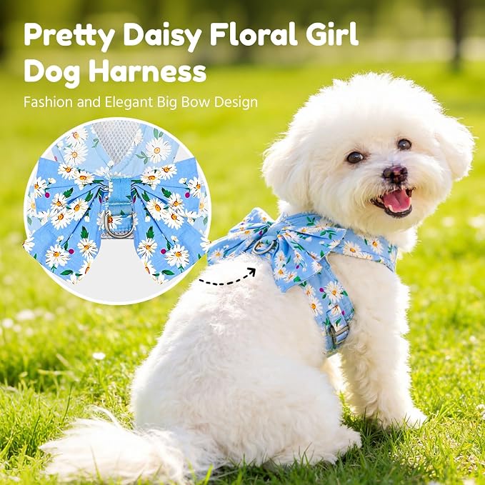 BAEJMJK Dog Harness and Leash Set with Bow Knot No Pull Pet Daisy Floral Harness with D-Ring Soft Mesh Dog Harness Vest Set Escape Proof Princess Puppy Harness for Small Girl Dogs Cats（Blue B M） - Image 2