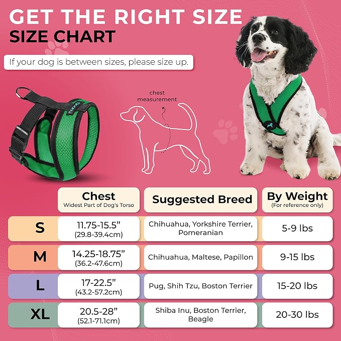 Gooby Comfort X Head-in Dog Harness, Choke-Free, Hunter Green, Large | Patented choke-free X-frame; Secure head-in fit; Lightweight breathable mesh; Back metal D-ring; Machine washable - Image 3