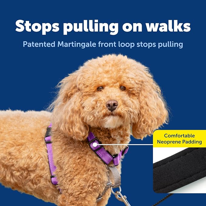 PetSafe 3 in 1 Dog Harness - No Pull Solution for Dogs - Reflective Dog Harness - Front D-Ring Clip Helps Stop Pulling - Comfortable Padded Straps - Top Handle Enhances Control - Plum - Small - Image 3